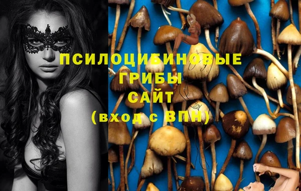метадон Беломорск