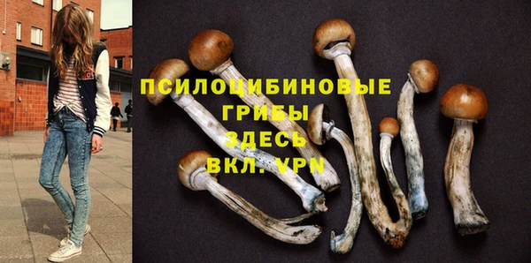 метадон Беломорск