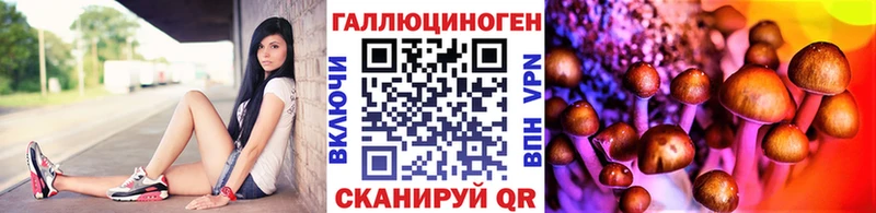 MEGA зеркало  Гудермес  Галлюциногенные грибы Psilocybe  купить наркоту 